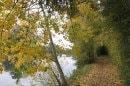 Bords de Seine